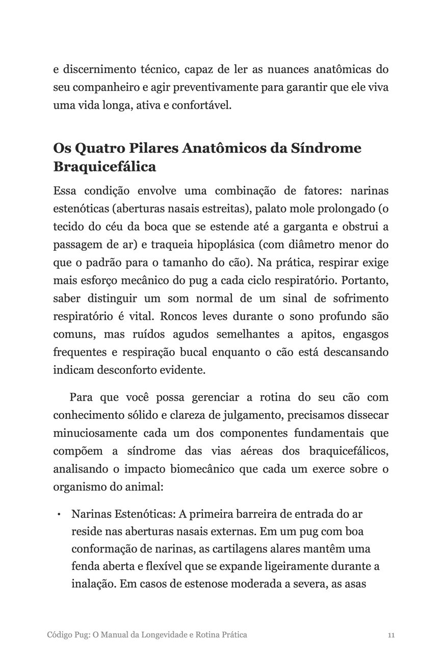 Página do e-book